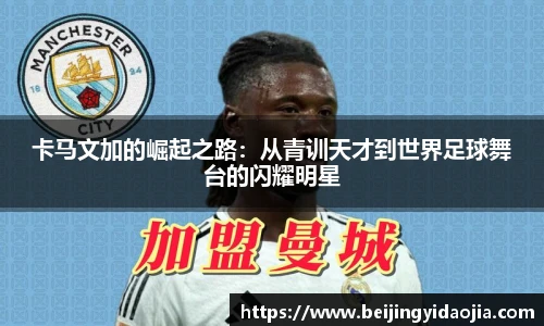 IM电竞官网入口