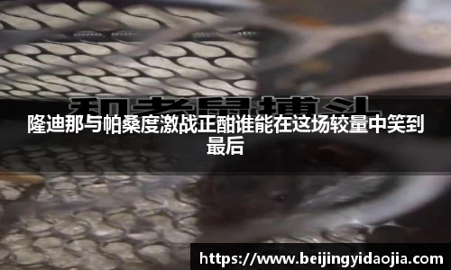 IM电竞官网入口