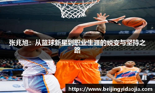 IM电竞官网入口