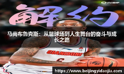 IM电竞官网入口